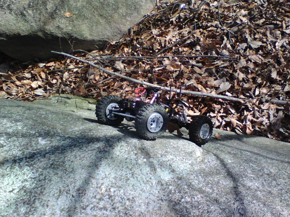 Remote control car with large tires on a rock, with dry leaves in the background