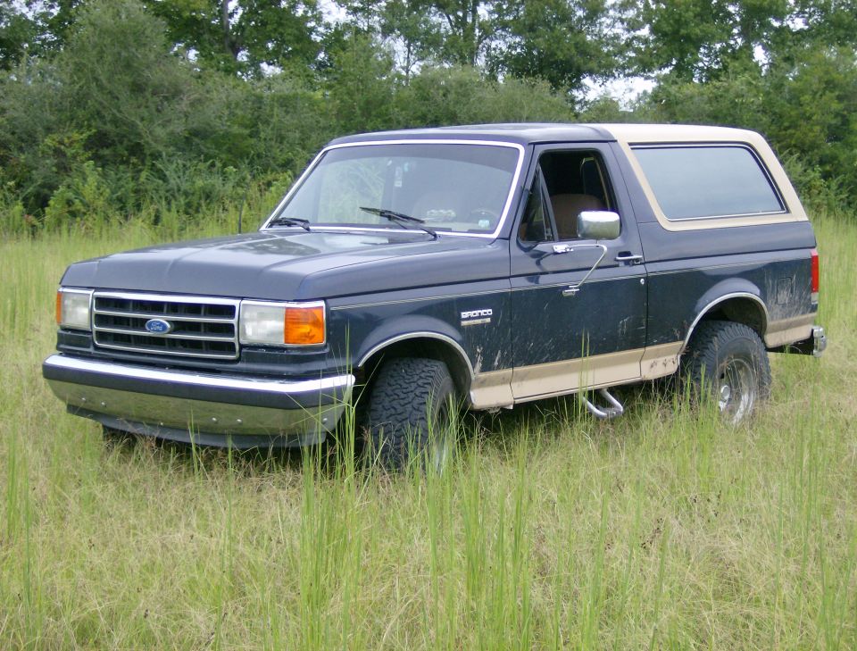 Dark blue Ford Bronco with tan trim parked in tall grass