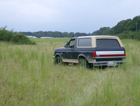 1990 Ford Bronco - This 1990 Ford Bronco is seen from the rear, parked in a tall grassy field under an overcast sky.