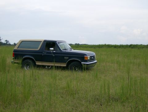 1990 Ford Bronco - A dark blue and tan Ford Bronco sits in a grassy field under a cloudy sky.