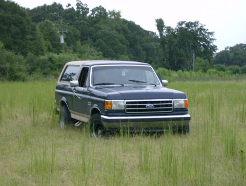 1990 Ford Bronco - This 1990 Ford Bronco is parked in a field with tall grass and trees.