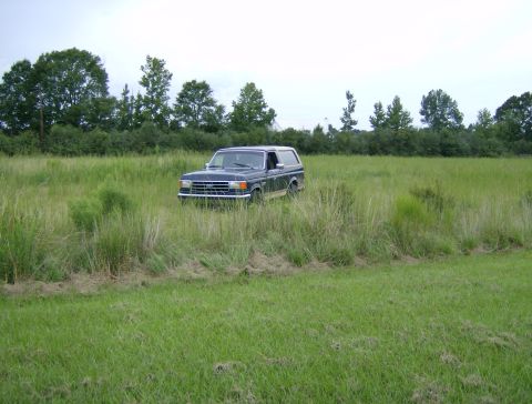 1990 Ford Bronco - A dark 1990 Ford Bronco is parked in a grassy field under an overcast sky.