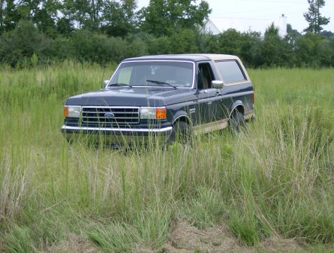 1990 Ford Bronco - A dark blue 1990 Ford Bronco with a tan top sits in a field of tall grass.