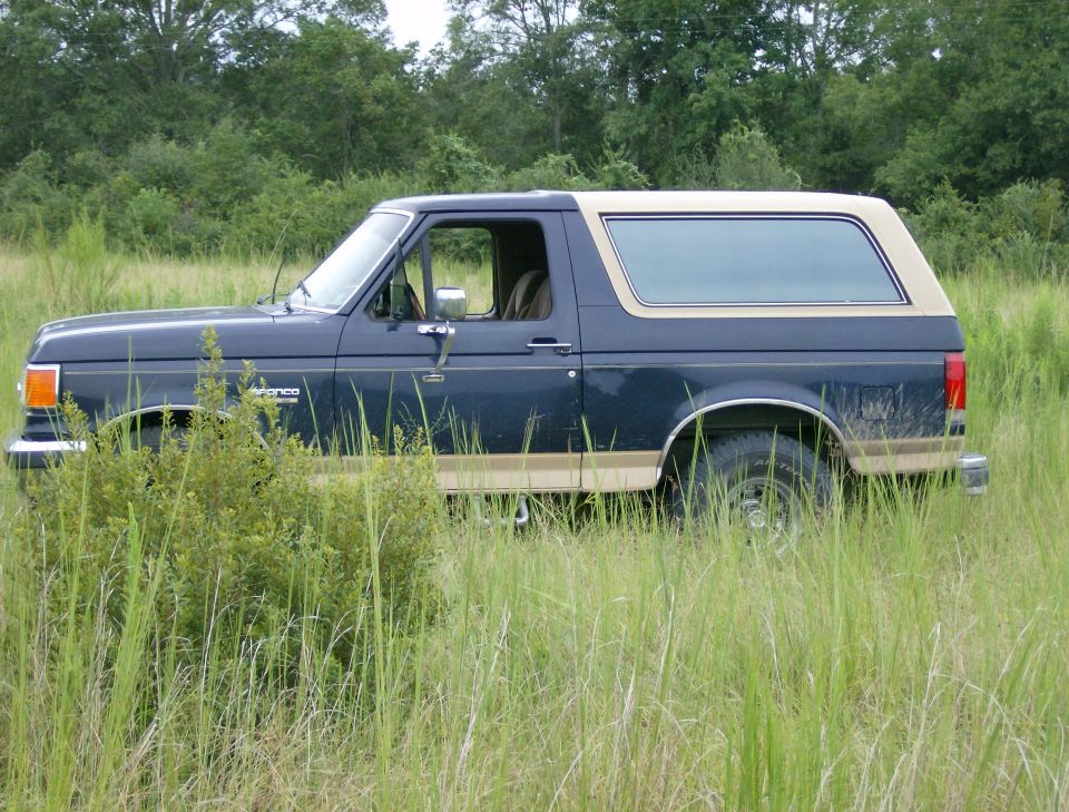 1990 Ford Bronco parked in tall grass, side view