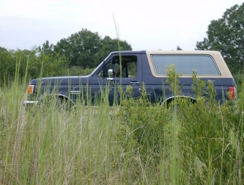 1990 Ford Bronco photo