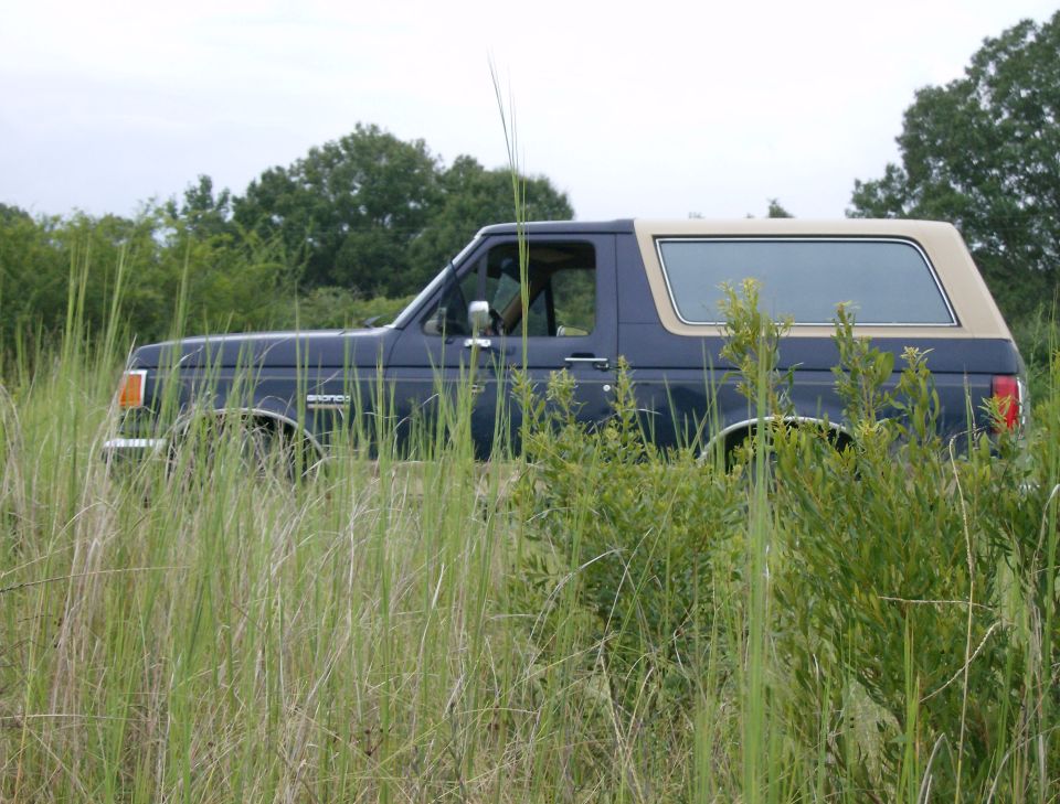 Side view of a dark blue Ford Bronco with a tan top, parked in tall grass and bushes