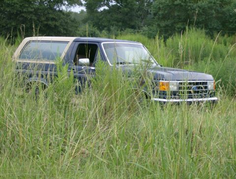 1990 Ford Bronco photo