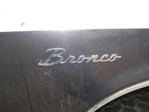 1989 Ford Bronco - Close-up of a 'Bronco' emblem on a vehicle's body panel.