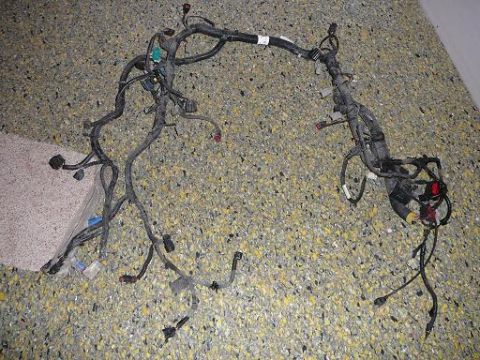 1997 Mercury Grand Marquis - Full engine harness minus 1 connector