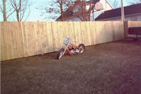 1979 Harley-Davidson FL - 1979 Shovelhead FL basket case delcron cases and soft tail frame