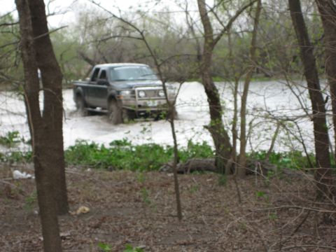 1996 Ford Bronco - A dark-colored pickup truck navigates through a muddy, water-filled area surrounded by trees and vegetation.