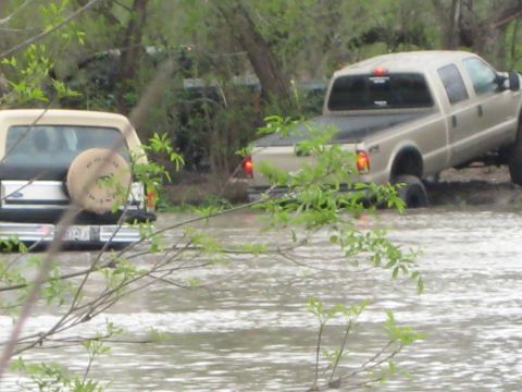 1996 Ford Bronco - Two trucks, a 1996 Ford Bronco and a Ford F-Series pickup, are partially submerged in water.