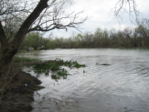 1996 Ford Bronco - Two SUVs are stuck in the water near a wooded area.