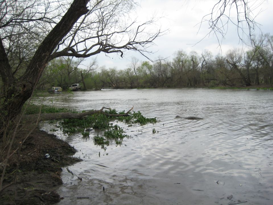 Two SUVs are partially submerged in water next to a muddy bank with trees in the background