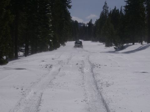 1986 Ford Bronco - SUV navigates a snowy path through a forest.