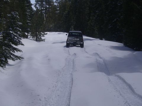 1986 Ford Bronco - An SUV navigates a snowy path through a forest, leaving tire tracks behind.