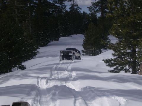 1986 Ford Bronco - 1986 Ford Bronco navigates a snowy, wooded path, leaving tracks behind.