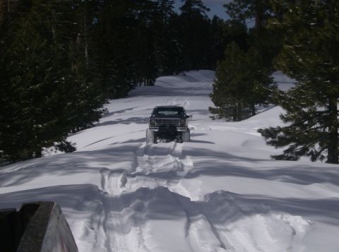 1986 Ford Bronco - A four-wheel-drive vehicle navigates a snow-covered path surrounded by pine trees.