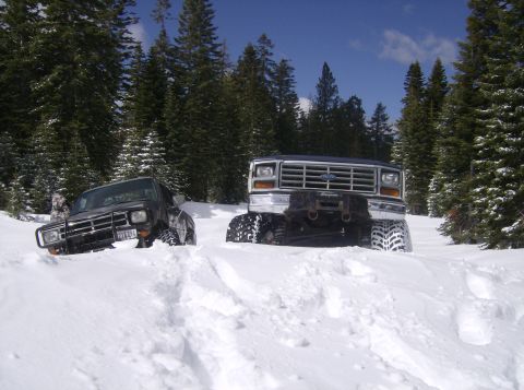 1986 Ford Bronco - Two trucks are stuck in deep snow, surrounded by pine trees under a blue sky.