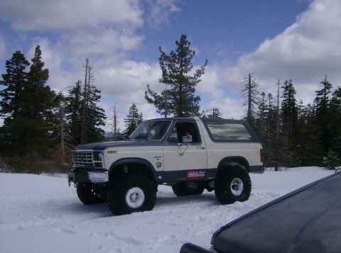 1986 Ford Bronco - Modified 1986 Ford Bronco sits in a snowy landscape with pine trees under a cloudy sky.