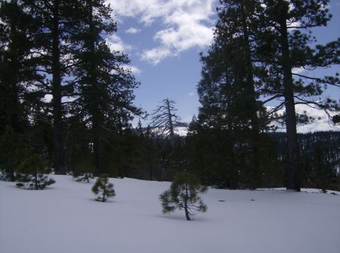 1986 Ford Bronco - A snowy landscape with pine trees under a blue sky with clouds, a watermark at the bottom right.
