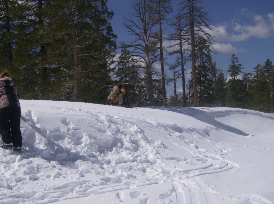 Snowy landscape with two people and trees