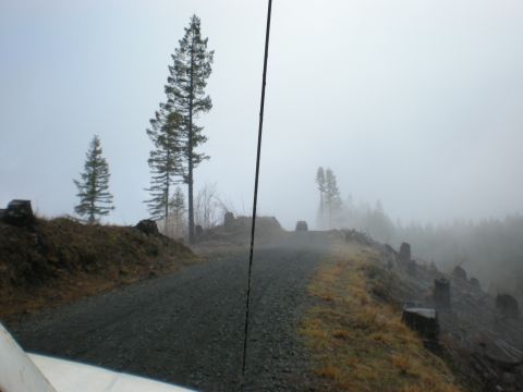 1993 Ford Bronco - View from inside a vehicle on a foggy day, looking out at a dirt road winding through trees.