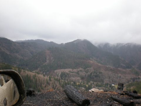1993 Ford Bronco - A partial view of a vehicle's wheel and a burnt log are in the foreground, overlooking a misty mountain landscape.