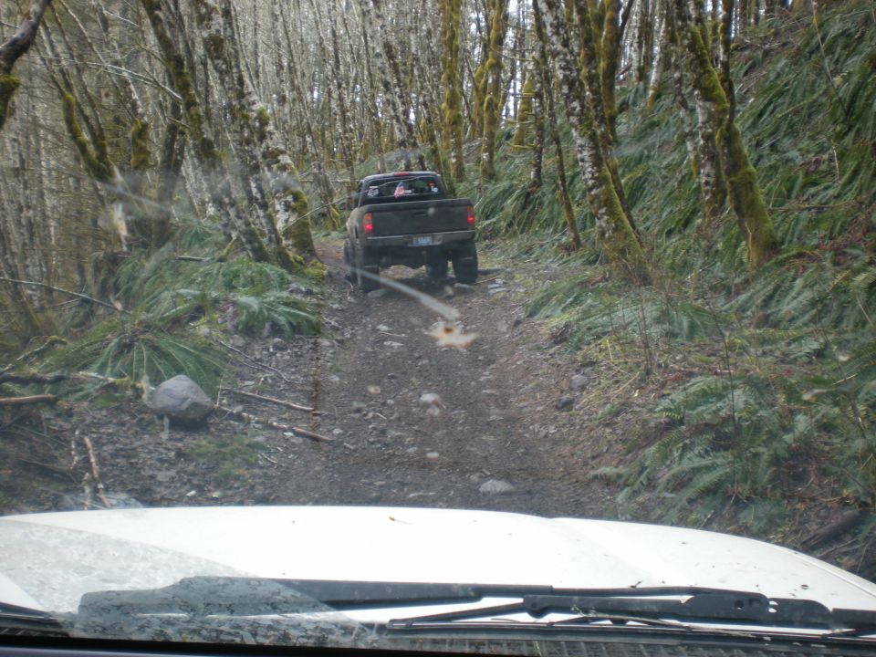 Pickup truck driving on a narrow dirt road through a forest with bare trees and ferns