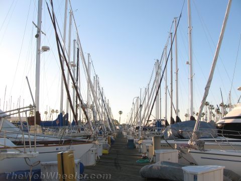 1990 Ford Bronco - Looking down a wooden marina dock flanked by two dense rows of sailboats with towering masts against a bright sky.