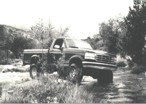 1992 Ford F-150 - Doesn't exactly look like desert.