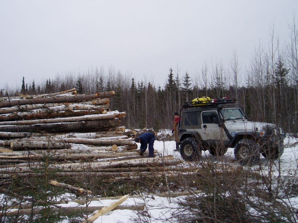 Silver Jeep Wrangler parked next to a large pile of cut logs in a snowy wooded area