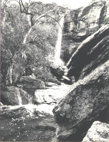 1992 Ford F-150 - Chiva falls, Tucson.