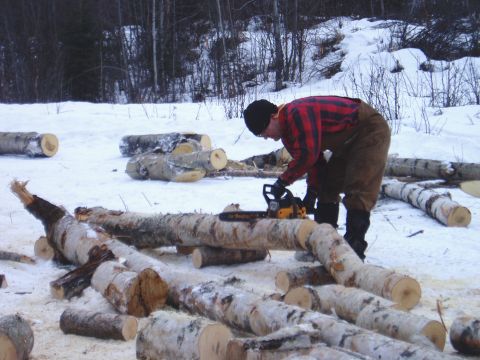 2000 Ford E350 - A person is cutting logs with a chainsaw in a snowy wooded area.