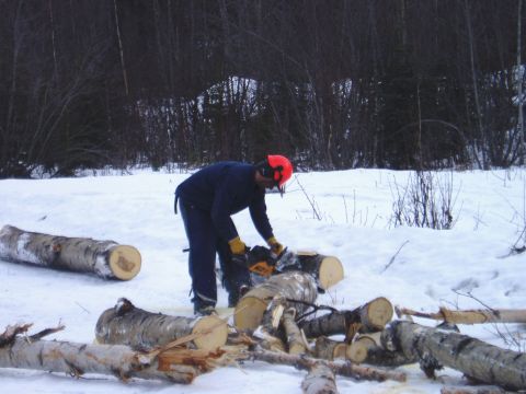 2000 Ford E350 - A person is cutting logs with a chainsaw in a snowy wooded area.