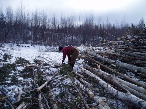 2000 Ford E350 - A man works to cut logs in a snowy forest clearing, surrounded by felled trees.