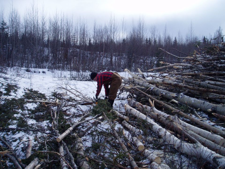 Man in red plaid shirt and brown pants cutting logs in a snowy forest with piles of cut trees