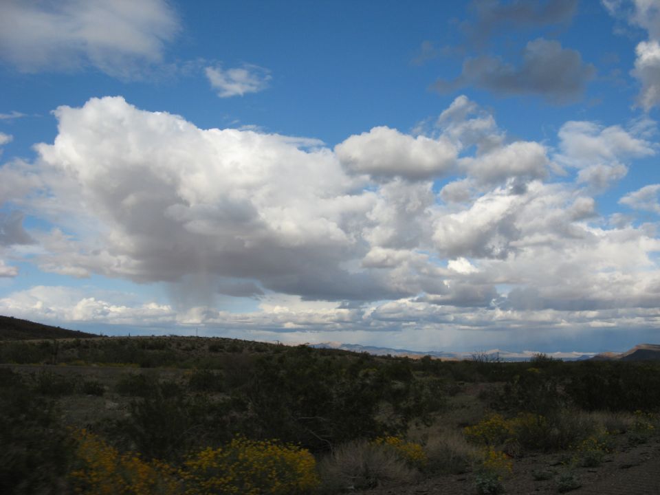 Clouds gathering over a dry, brushy landscape with some yellow wildflowers in the foreground