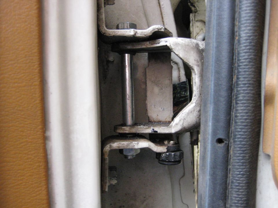 Door hinge mechanism with tan interior trim and black rubber seal