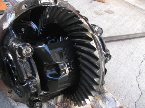 1987 Suzuki Samurai - This is a close-up view of a differential gear assembly, likely recently serviced or rebuilt.