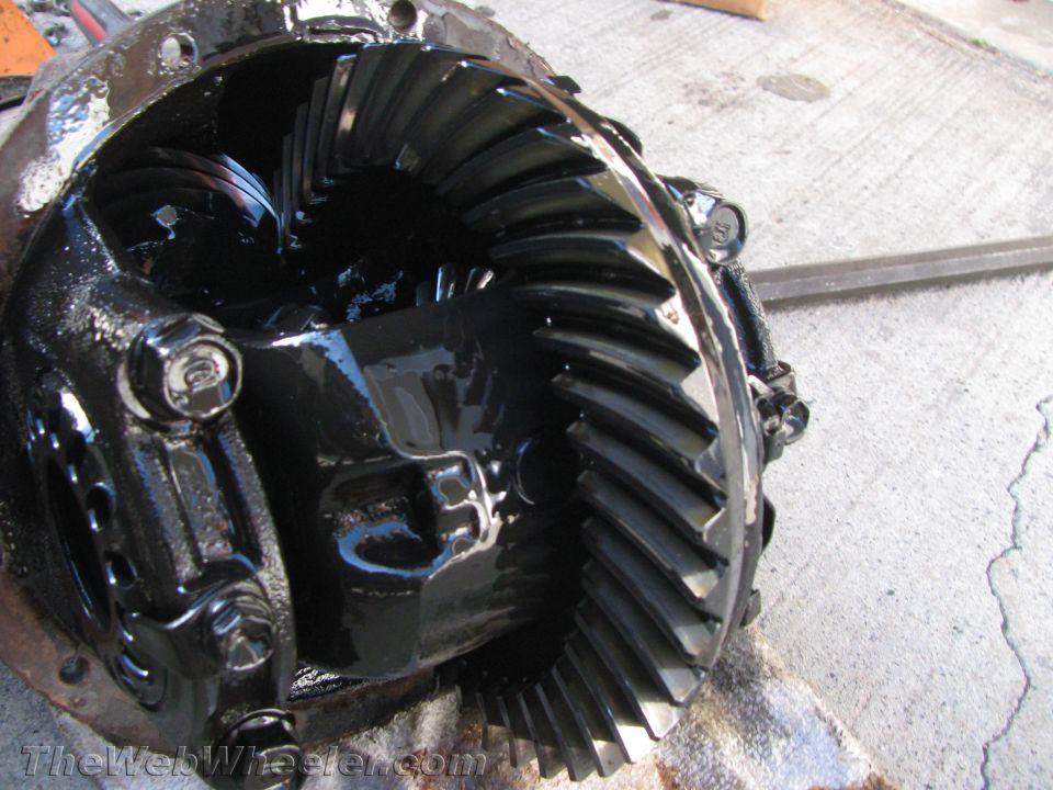 close-up of a differential gear assembly with black lubricant