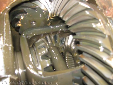 1987 Suzuki Samurai - Close-up of differential gears submerged in lubricant, showing wear and tear.