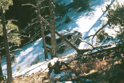 1980 Ford Bronco - A 1980 Ford Bronco navigates a snowy incline, surrounded by trees.