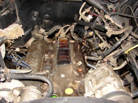 1989 Ford Bronco - disgustingly dirty