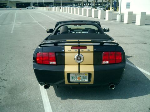 2007 Ford Mustang - Rear view of a black 2007 Ford Mustang convertible with gold racing stripes and a Shelby emblem.