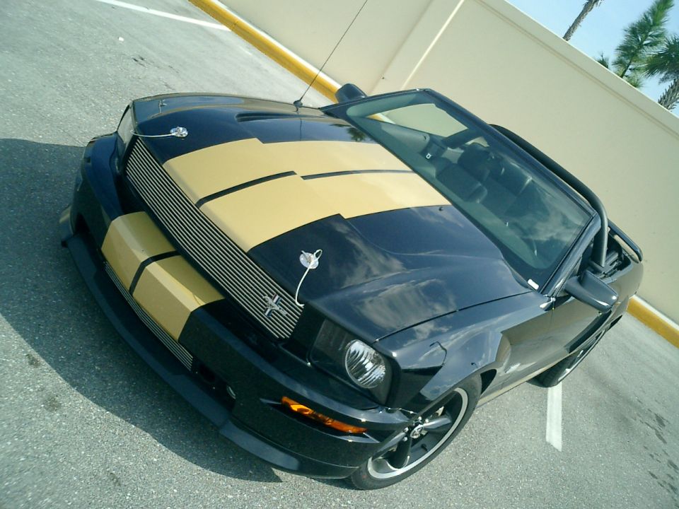 Black convertible with gold racing stripes parked on asphalt. The car has a black grille and gold accents on the hood