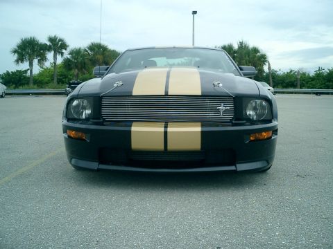 2006 Ford Mustang - Front view of a black Ford Mustang with gold racing stripes and a chrome grille.
