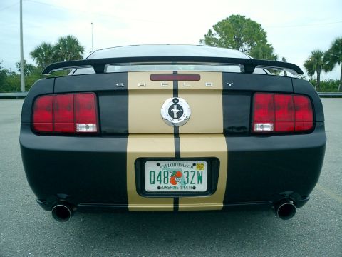 2006 Ford Mustang - This black and gold Mustang features racing stripes and a prominent Shelby emblem on the rear.