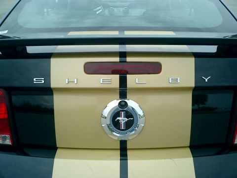 2006 Ford Mustang - The rear of a car displays 'SHELBY' lettering and a Ford Mustang emblem, with gold and black racing stripes.