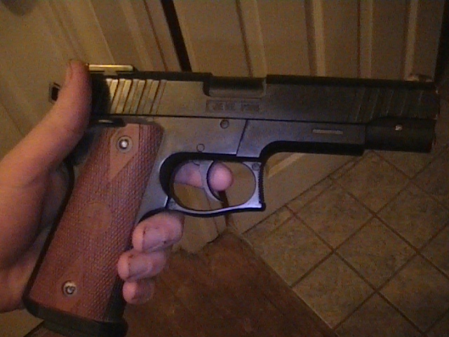 hand holding a pistol with wood-grain grips